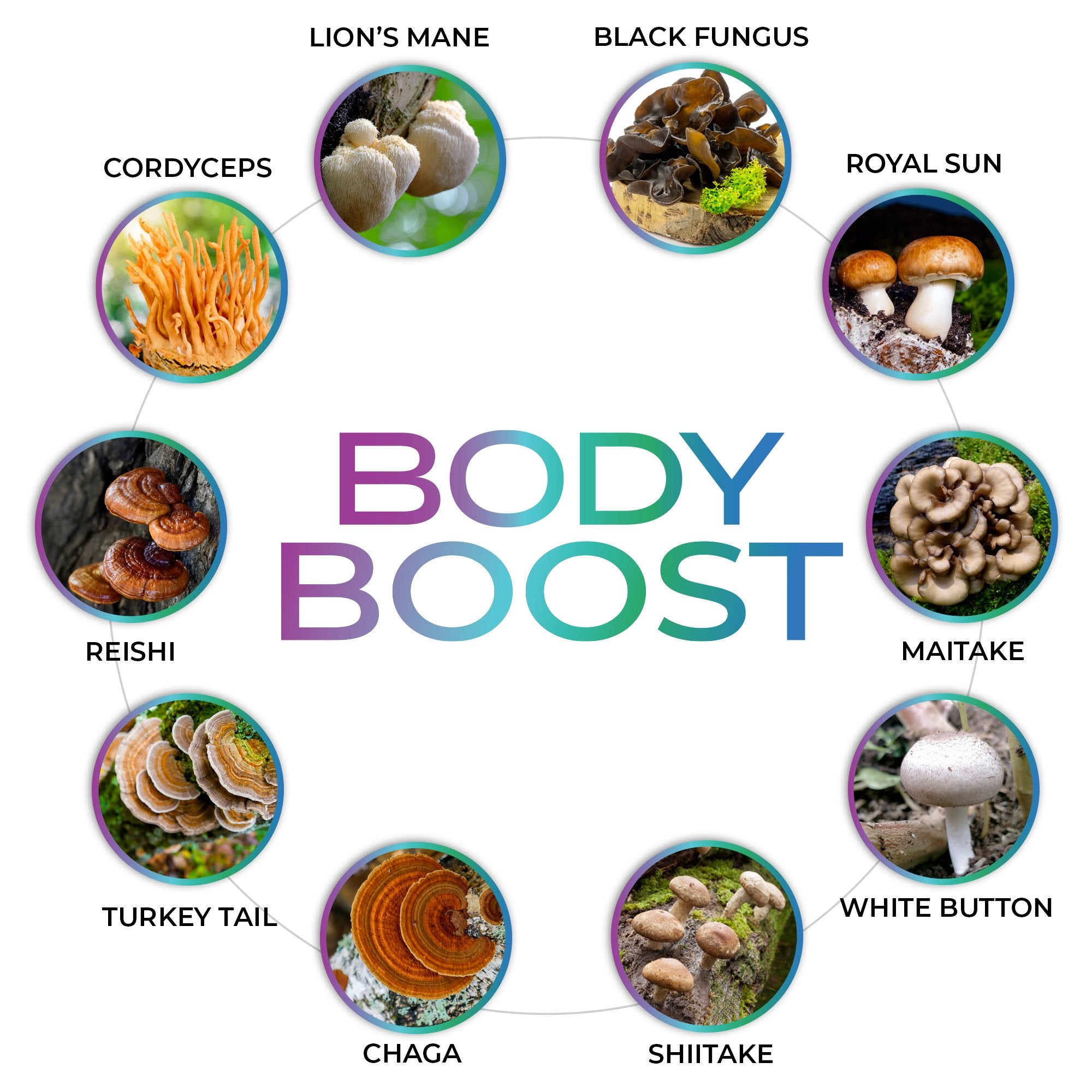 Body Boost Gummies